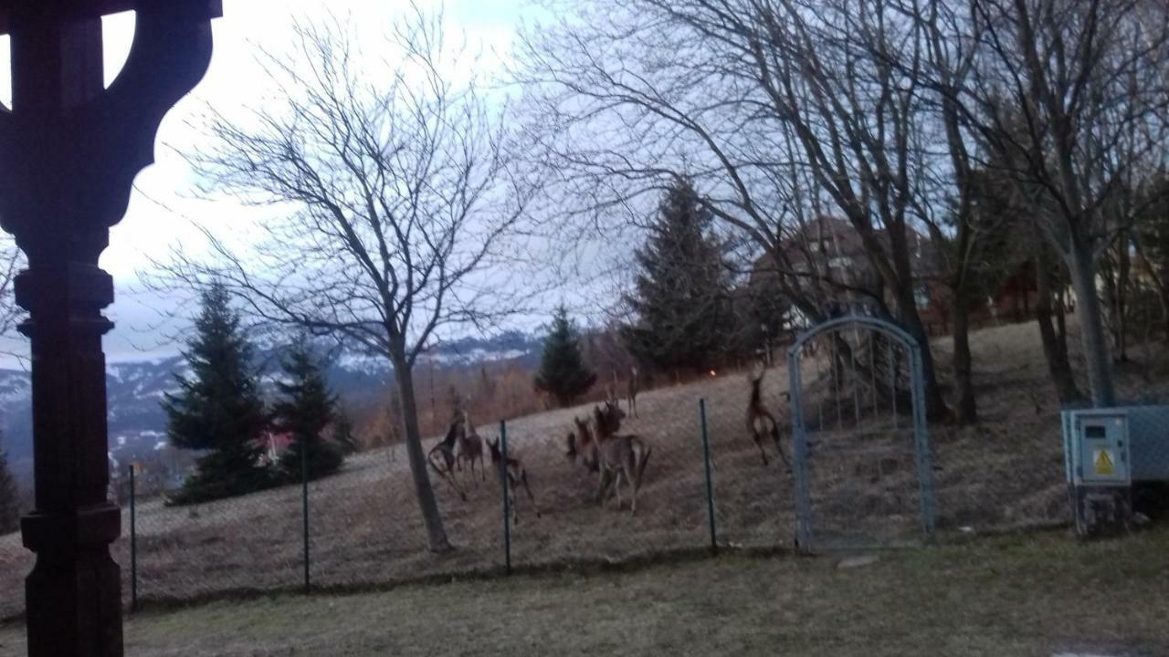 Penzion Urocza Karpacz